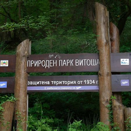Pinus Villas Lodge With Private Jacuzzi & Phyto-Sauna Retreat Zheleznitsa Exterior foto